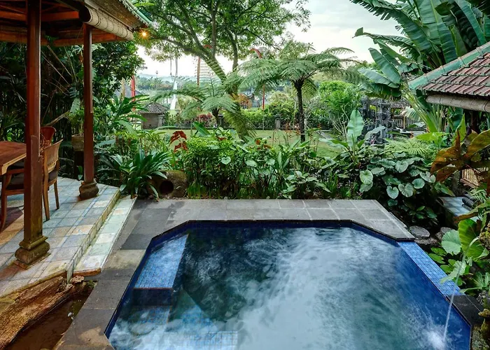 Tirtagangga Water Palace ホリデーパーク 3*